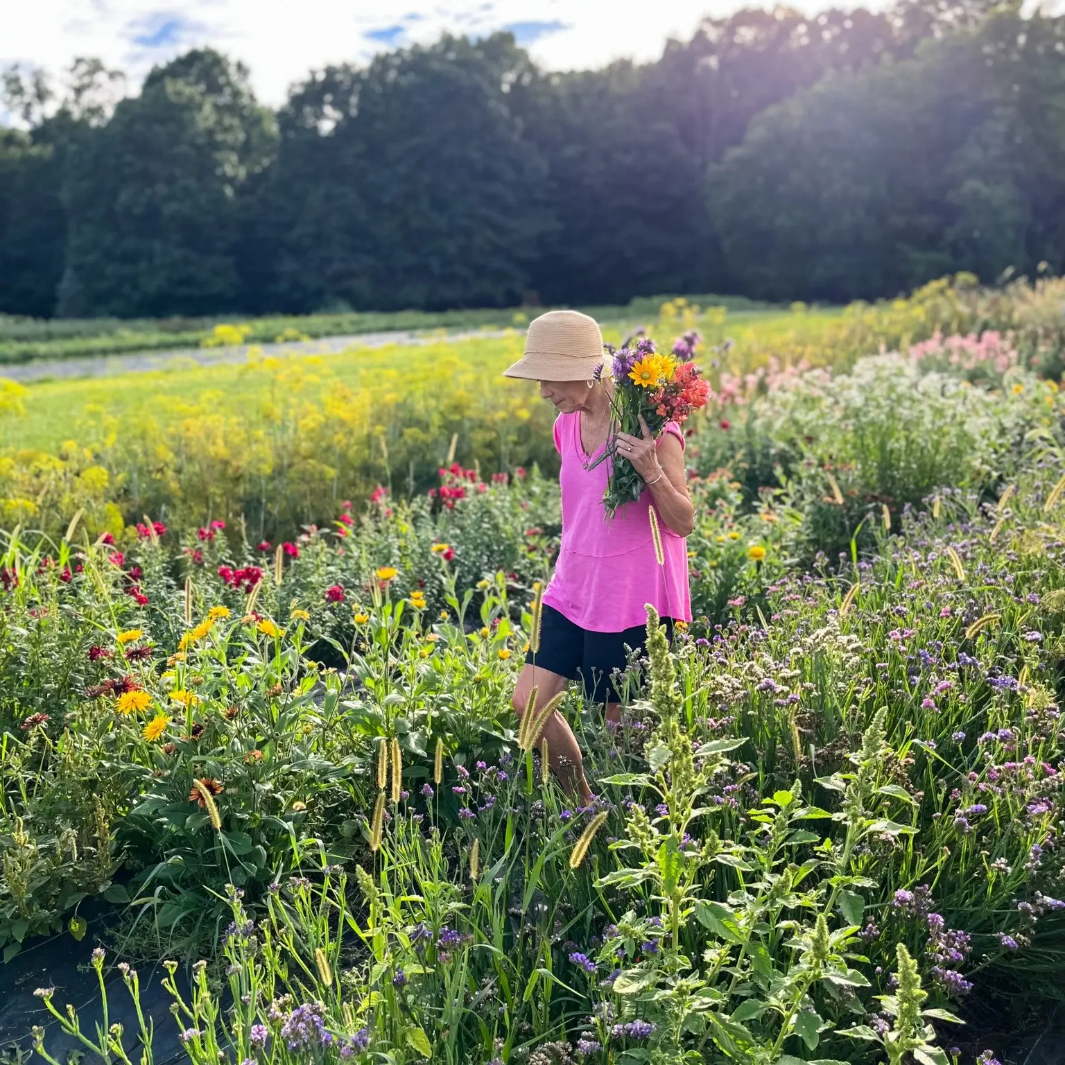 Harmony Harvest Farm