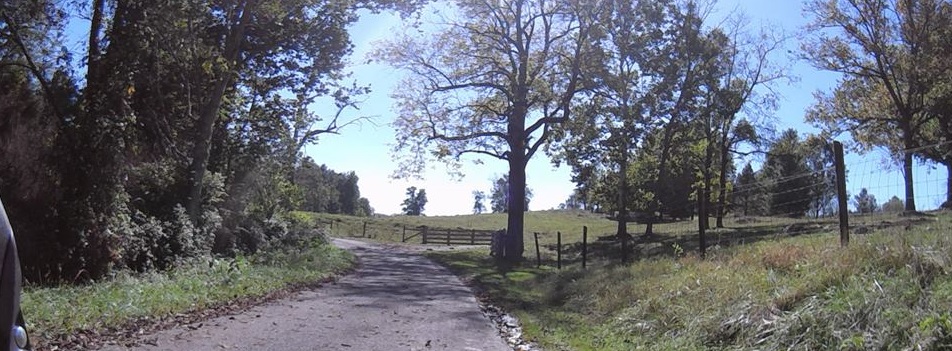 Staunton-Arbor Hill-Stingy Hollow Loop