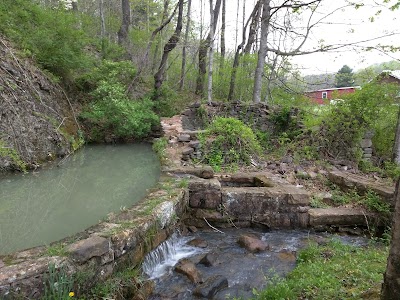Augusta Springs Wetlands Trail