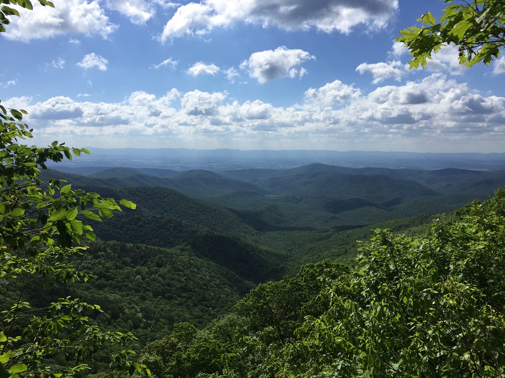 Wild Oak Trail Loop