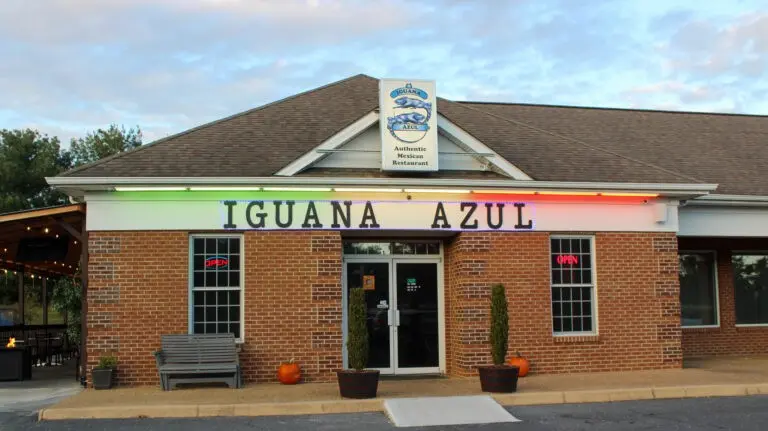 Iguana Azul
