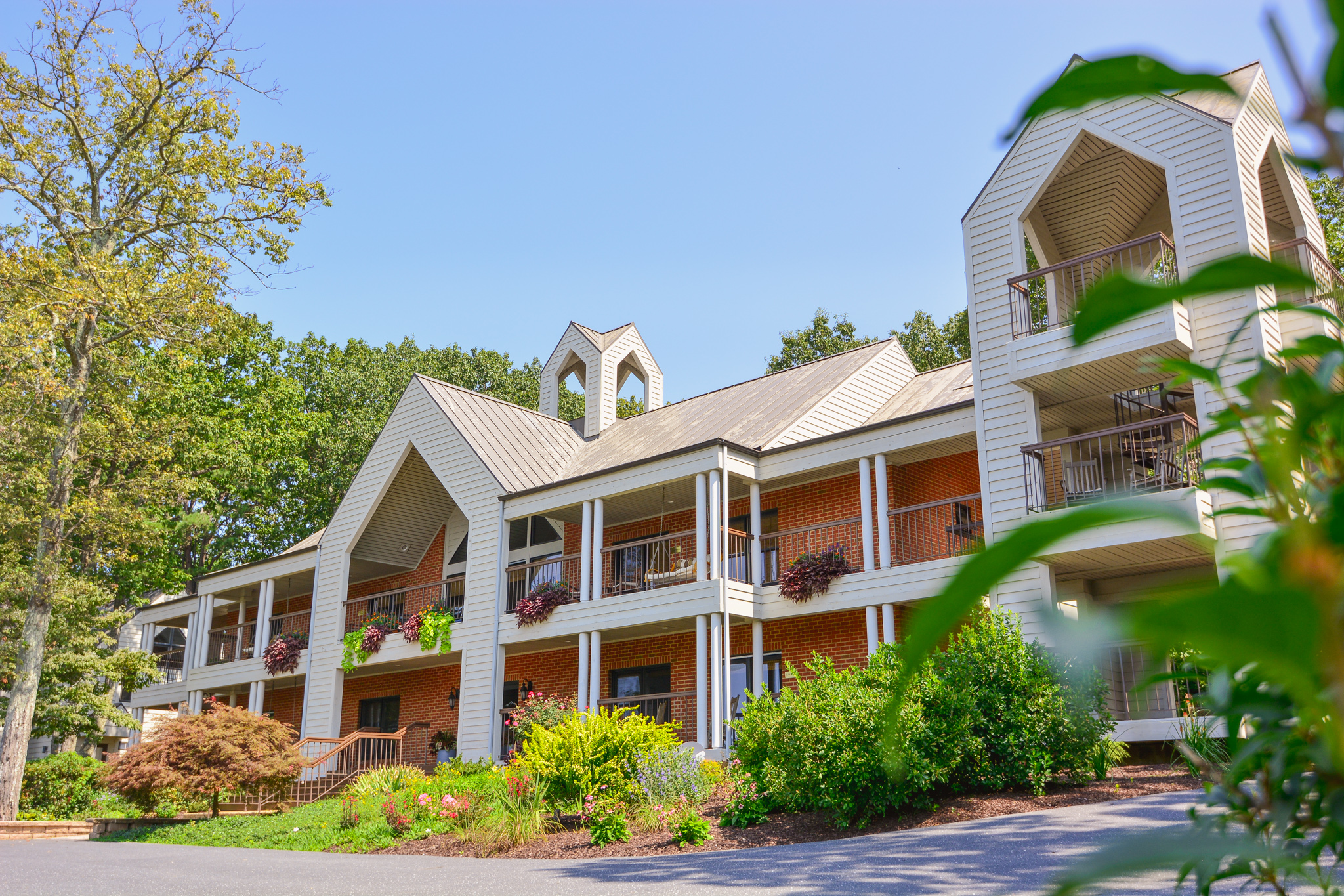Iris Inn