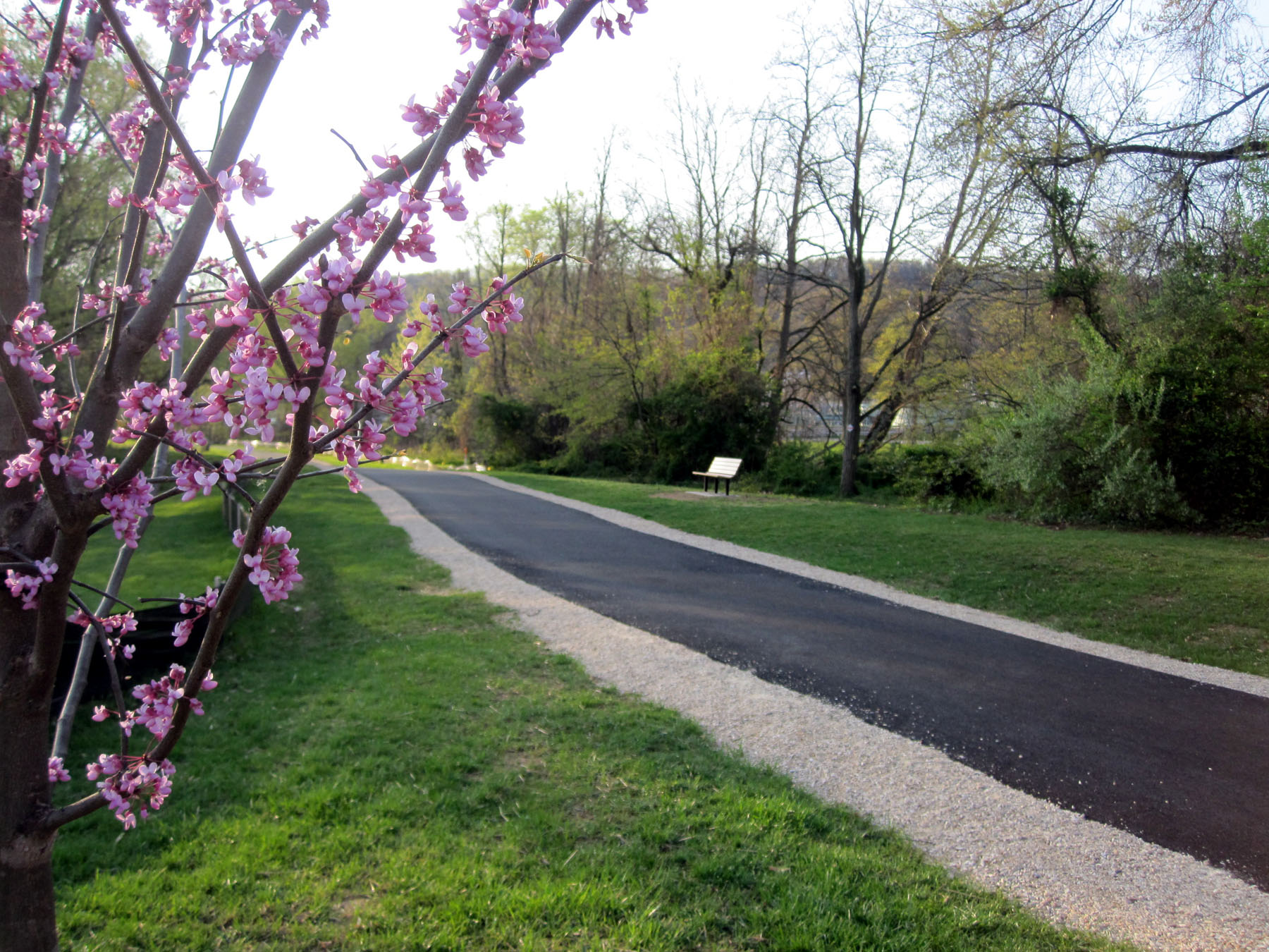 South River Greenway