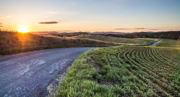 Middlebrook-Walkers Creek-Newport Loop