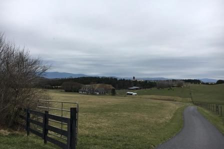 Staunton Perfect Loop