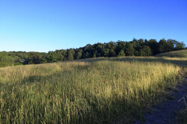 Staunton-Frog Pond-Smoky Row
