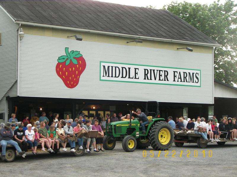 Middle River Farms